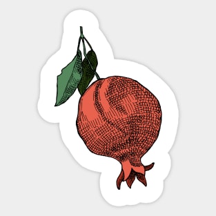 Pomegranate Sticker